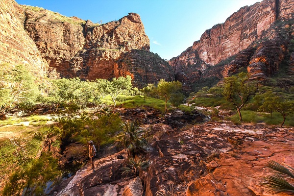 Three Mind-Blowing Natural wonders You Will See at the Bungle Bungle range while Flying with Aviair