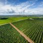 Kununurra Farmlands