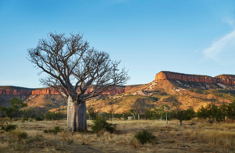 Kununurra