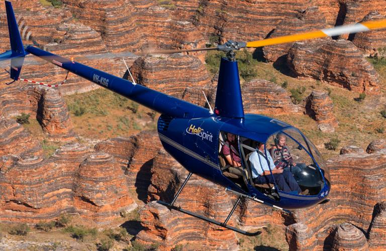 Robinson R-44