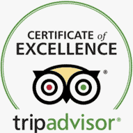 Trip Advisor